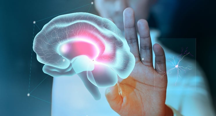 utan-2-que-es-el-neuromarketing