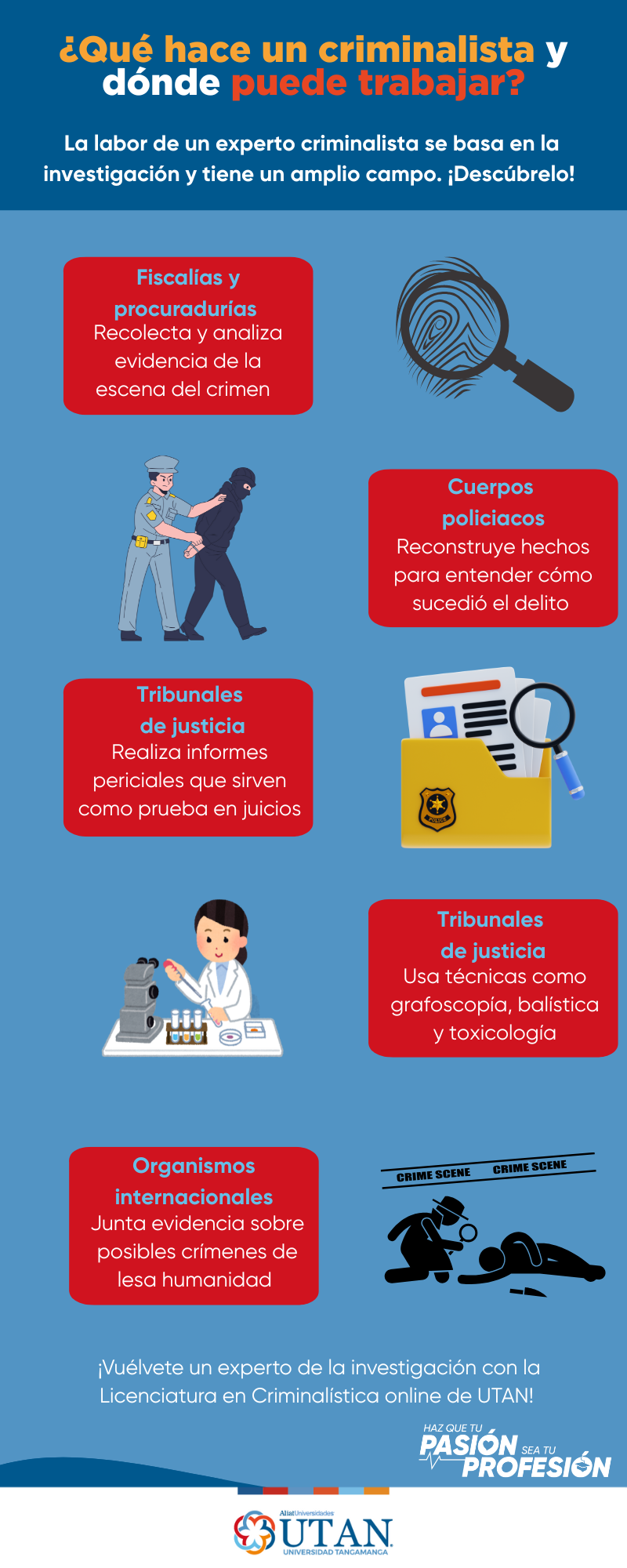 que hace un criminalista y donde puede trabajar